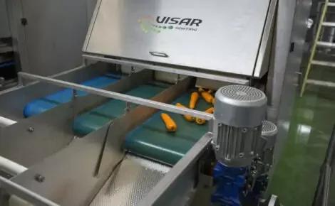 Visar Potato & Carrot Optical Sorting