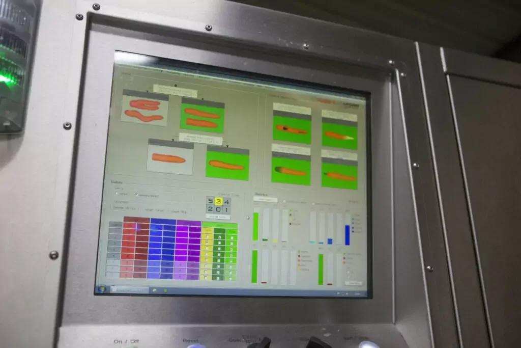 Visar Potato & Carrot Optical Sorting