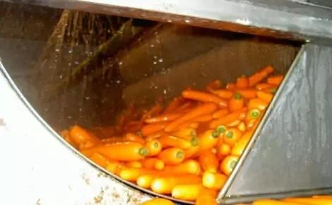 Martin Maq Vegetable Polisher