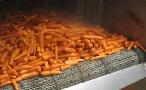 Vegetable Hydrocoolers