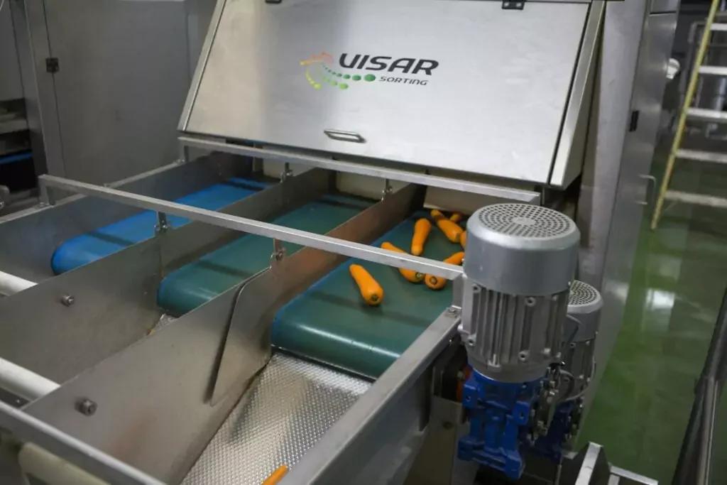 Visar Potato & Carrot Optical Sorting