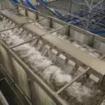 Vegetable Hydrocoolers