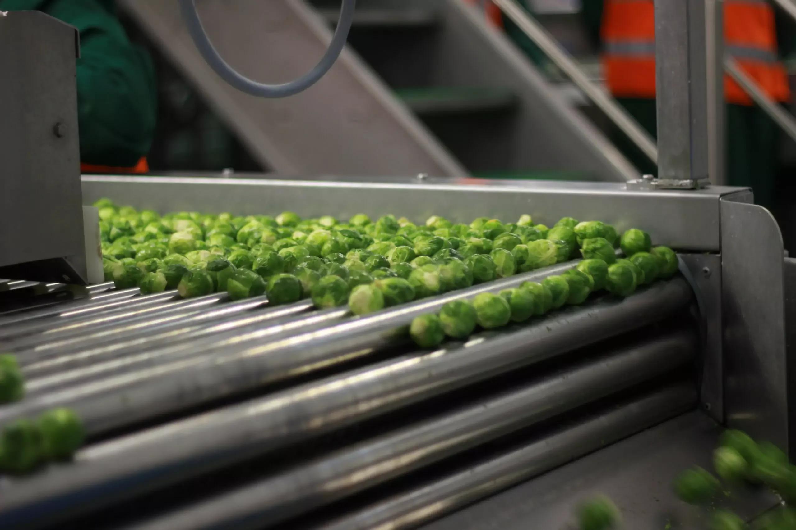Roller Inspection Tables
