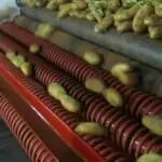 Coil Dirt Eliminator