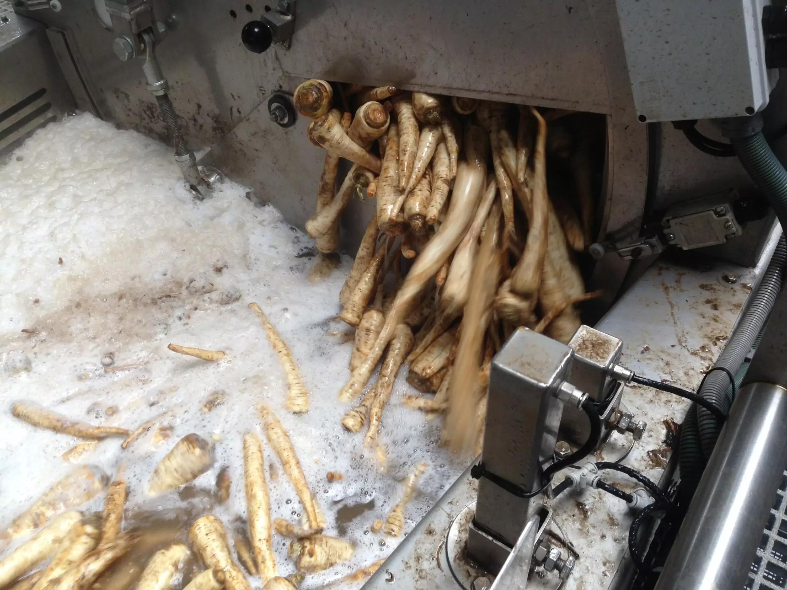 Vegetable Barrel Washers