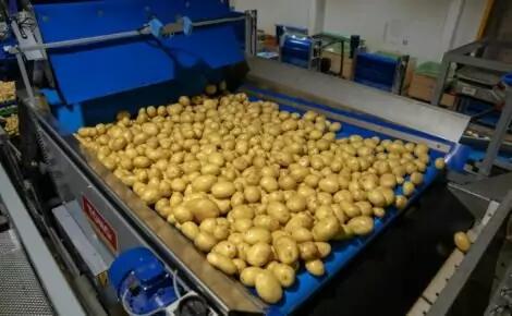 Infeed Unloaders