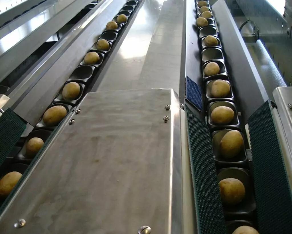 MAF RODA Potato and Onion Optical Sorting