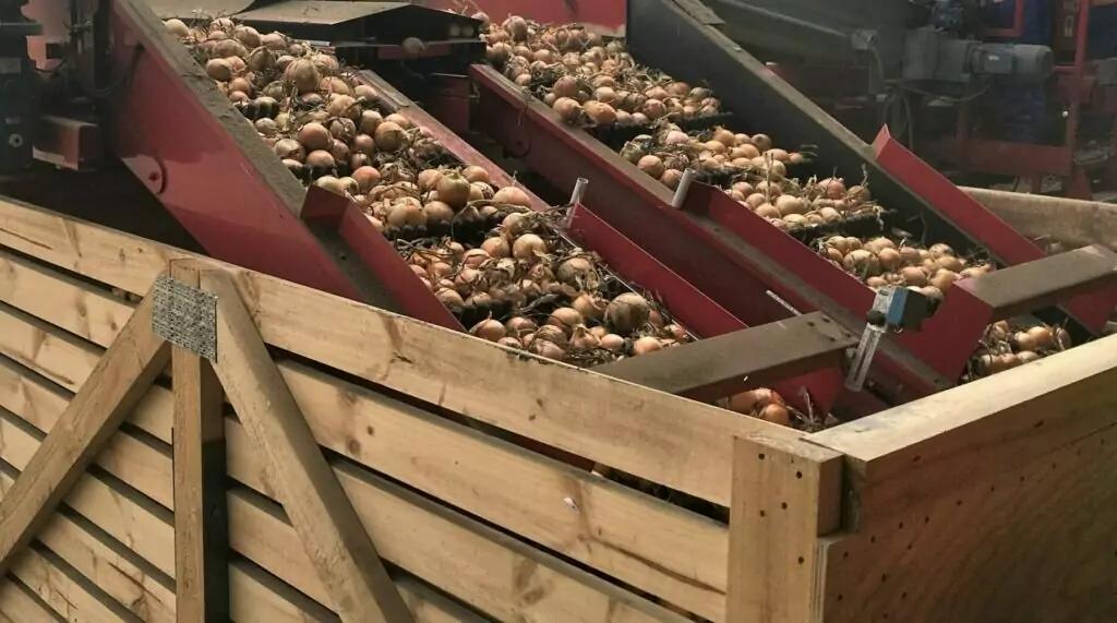 EasyFill Bin Filler