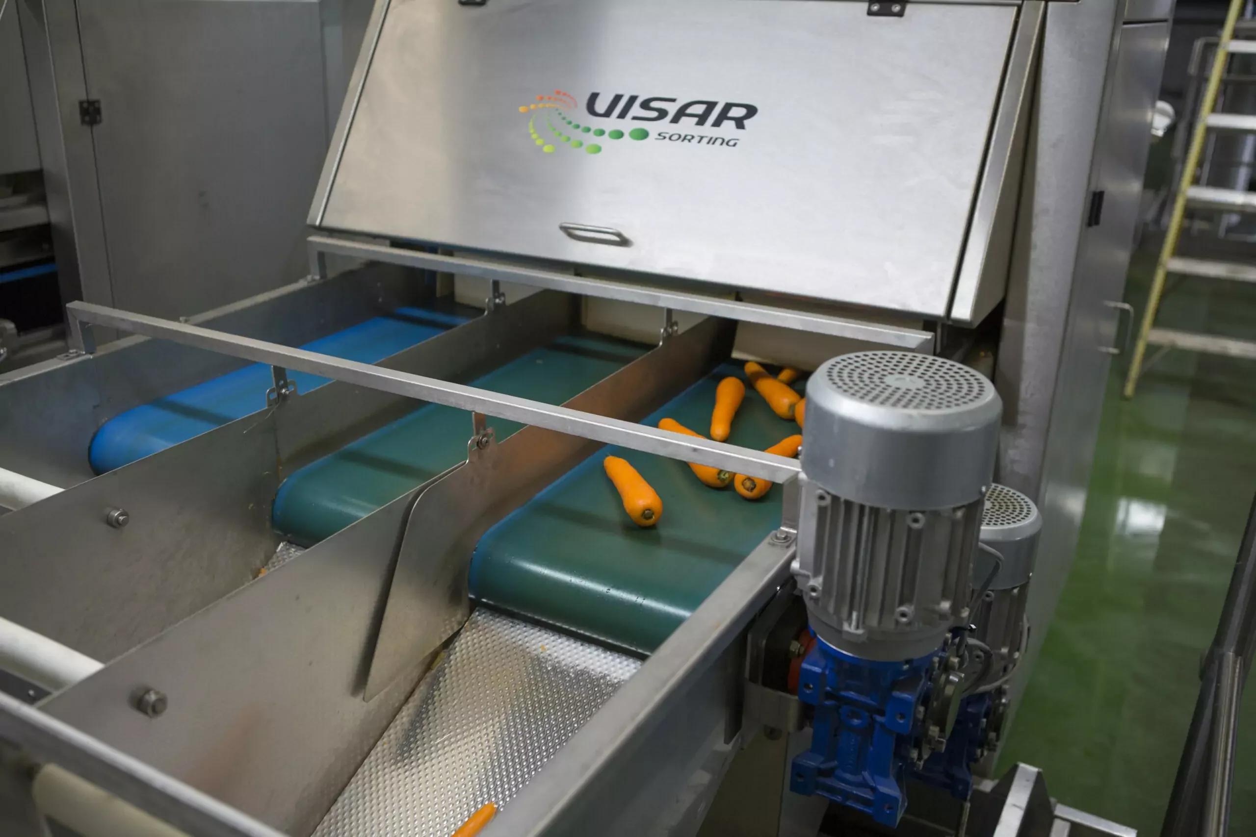 Visar Potato & Carrot Optical Sorting