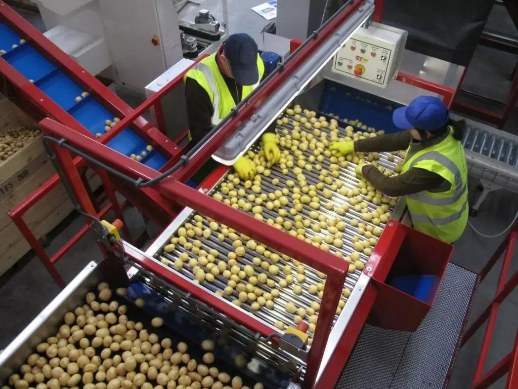 Roller Inspection Tables