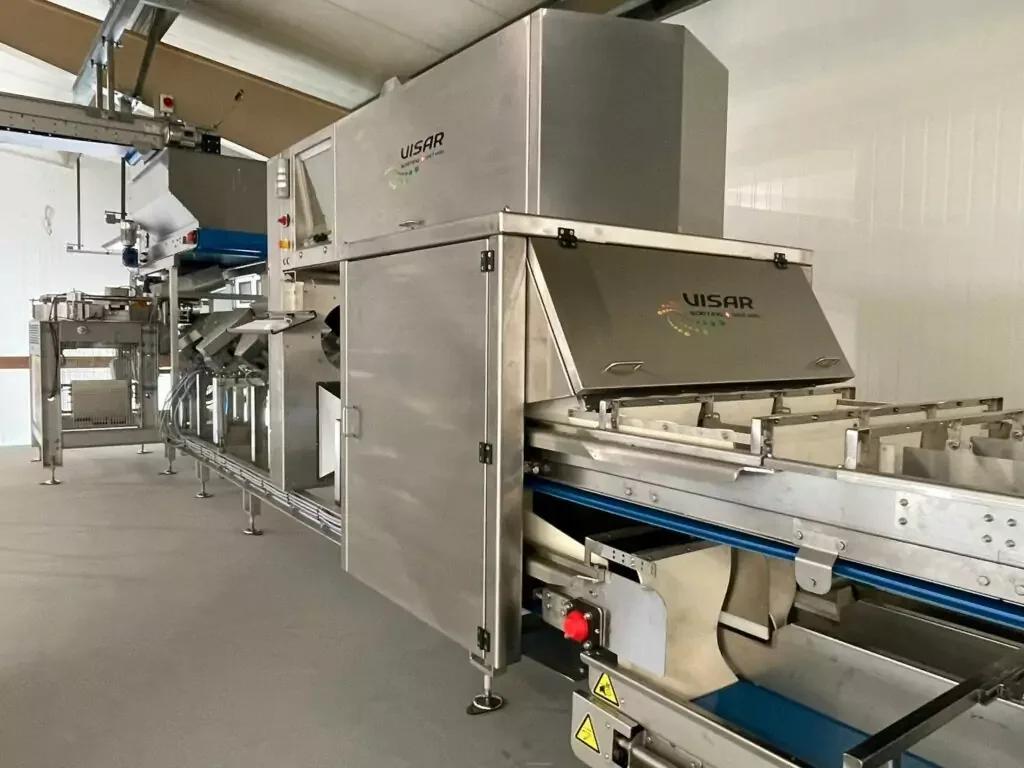 Visar Potato & Carrot Optical Sorting