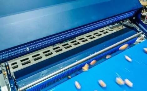 TOMRA 3A Optical Sorter