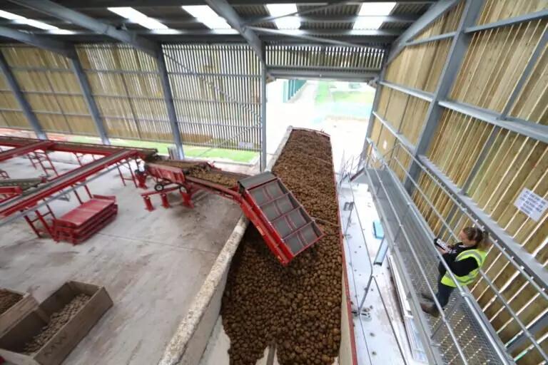 Tong Swift Lift Extendo Mobile Pilers