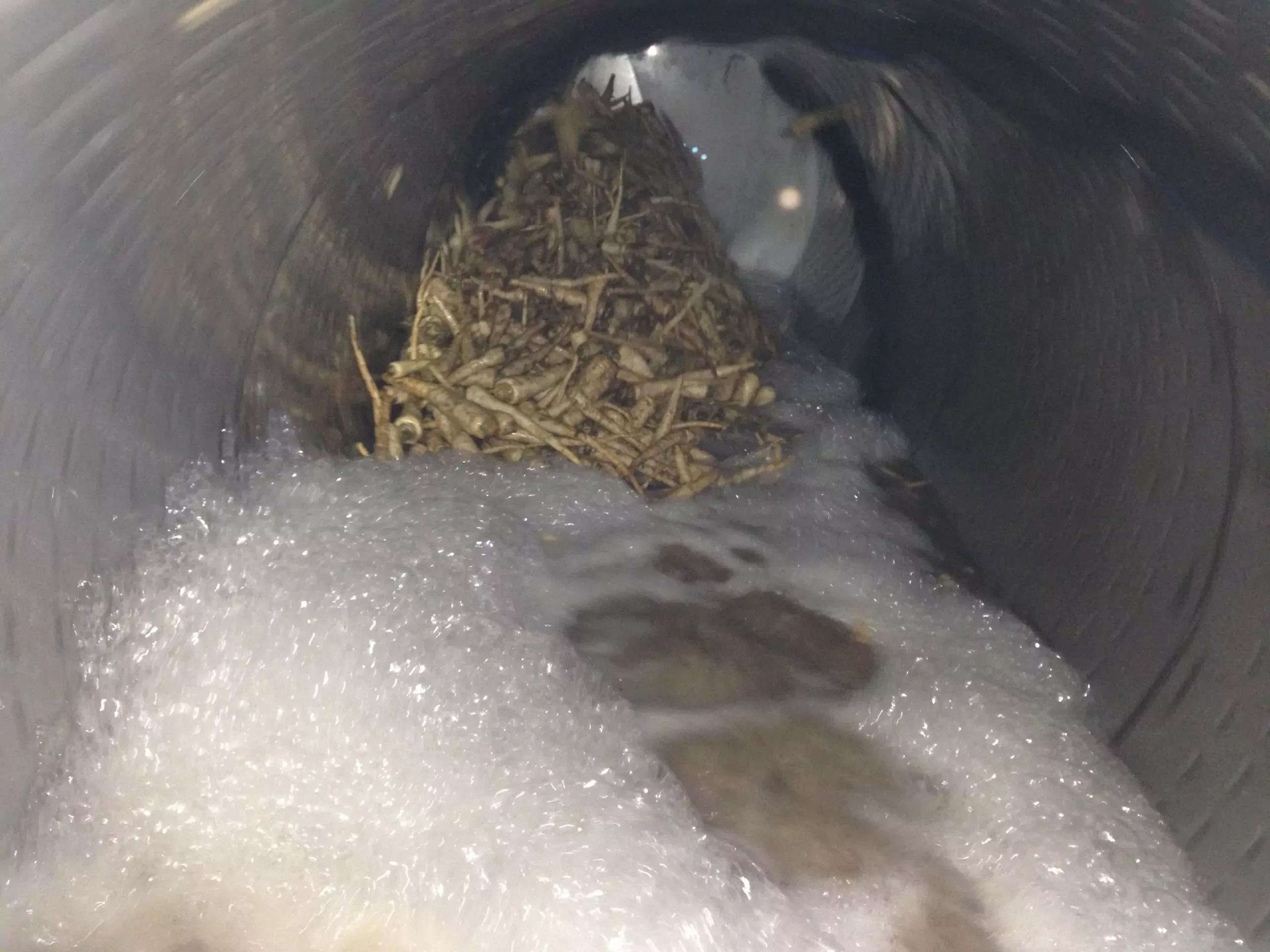 Vegetable Barrel Washers
