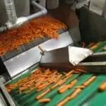 Vegetable Hydrocoolers