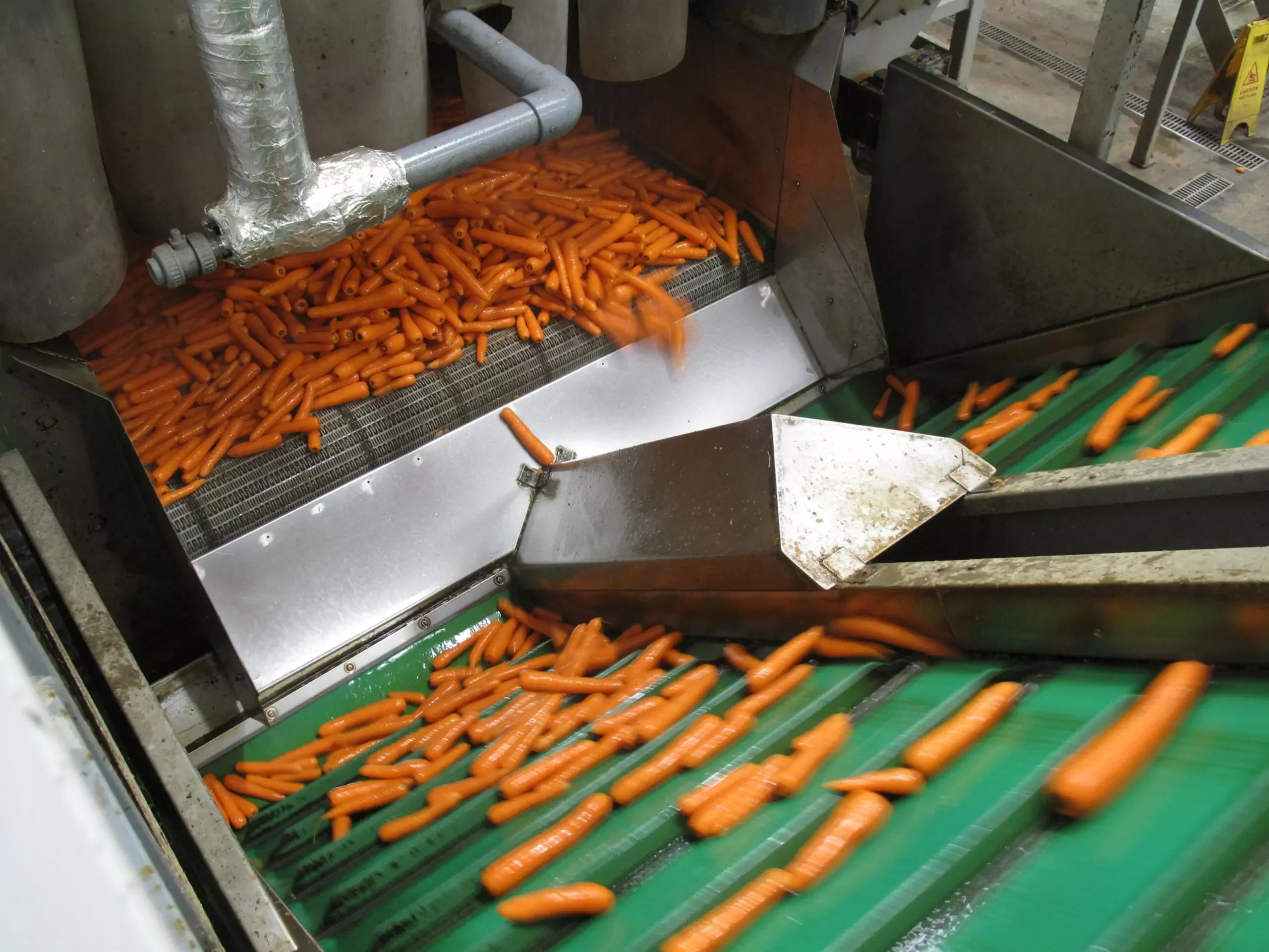 Vegetable Hydrocoolers