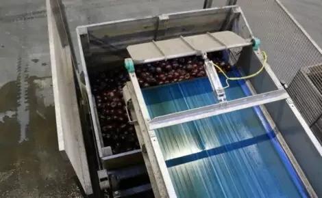 Single Bin Filler