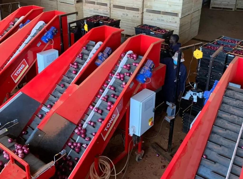 Tank Vegetable Weighers & Baggers