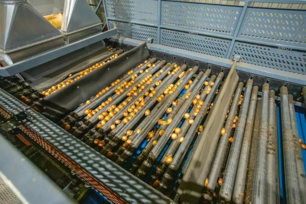 Lift Roller Sizer