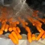 U-Brush Vegetable Polisher