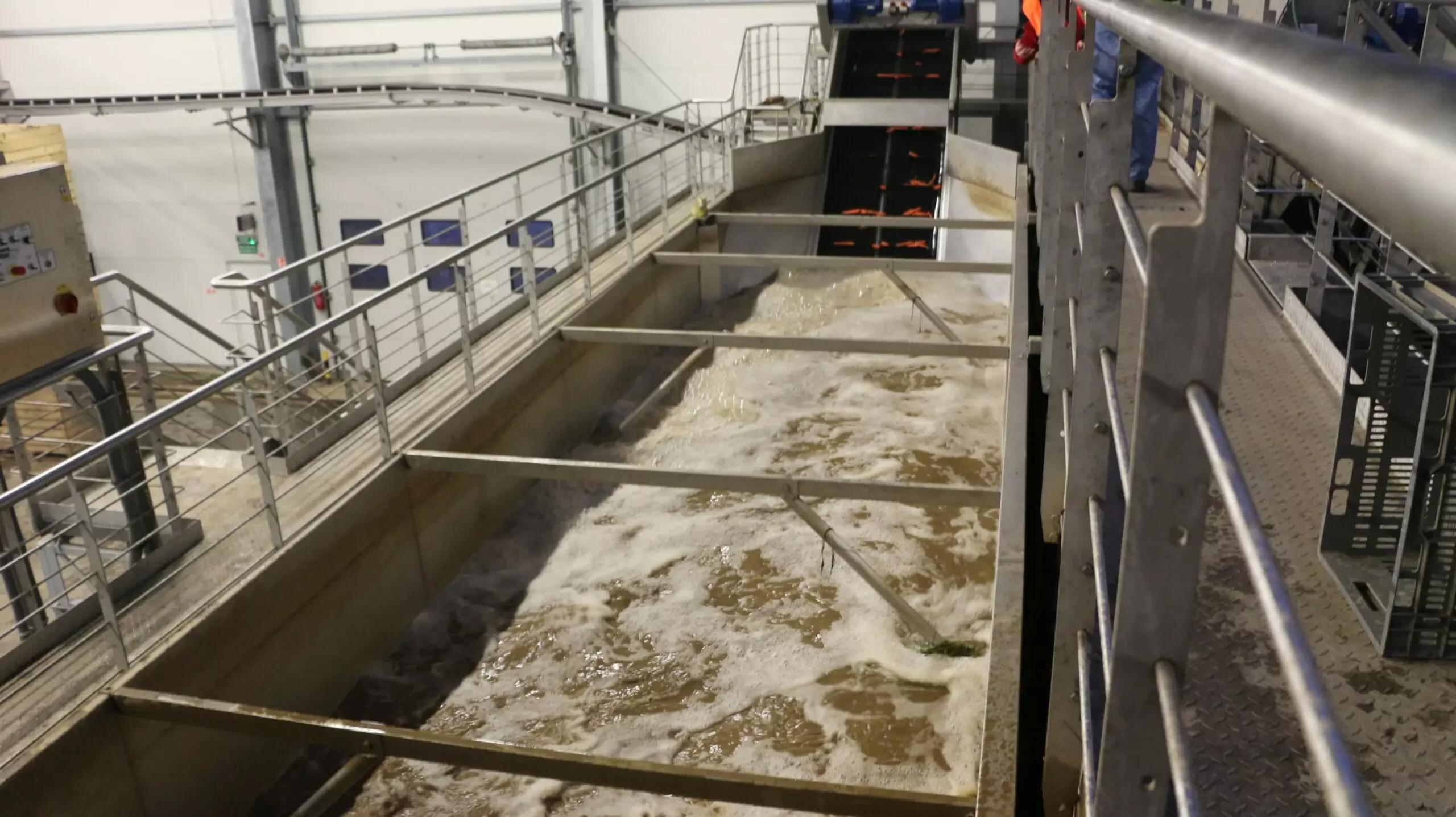 Vegetable Pre-Soak Tank