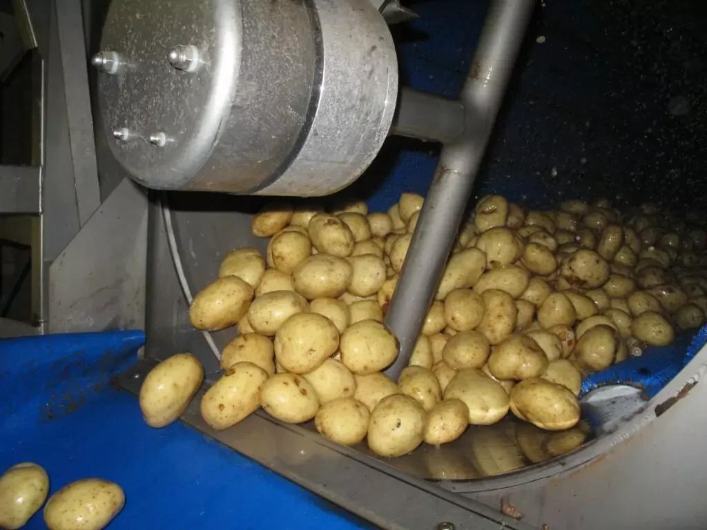 TPS-PRO Vegetable Polisher