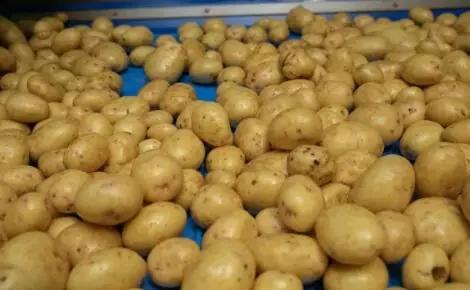 TPS-PRO Vegetable Polisher