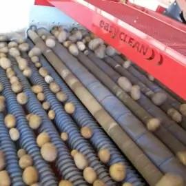Coil Dirt Eliminator