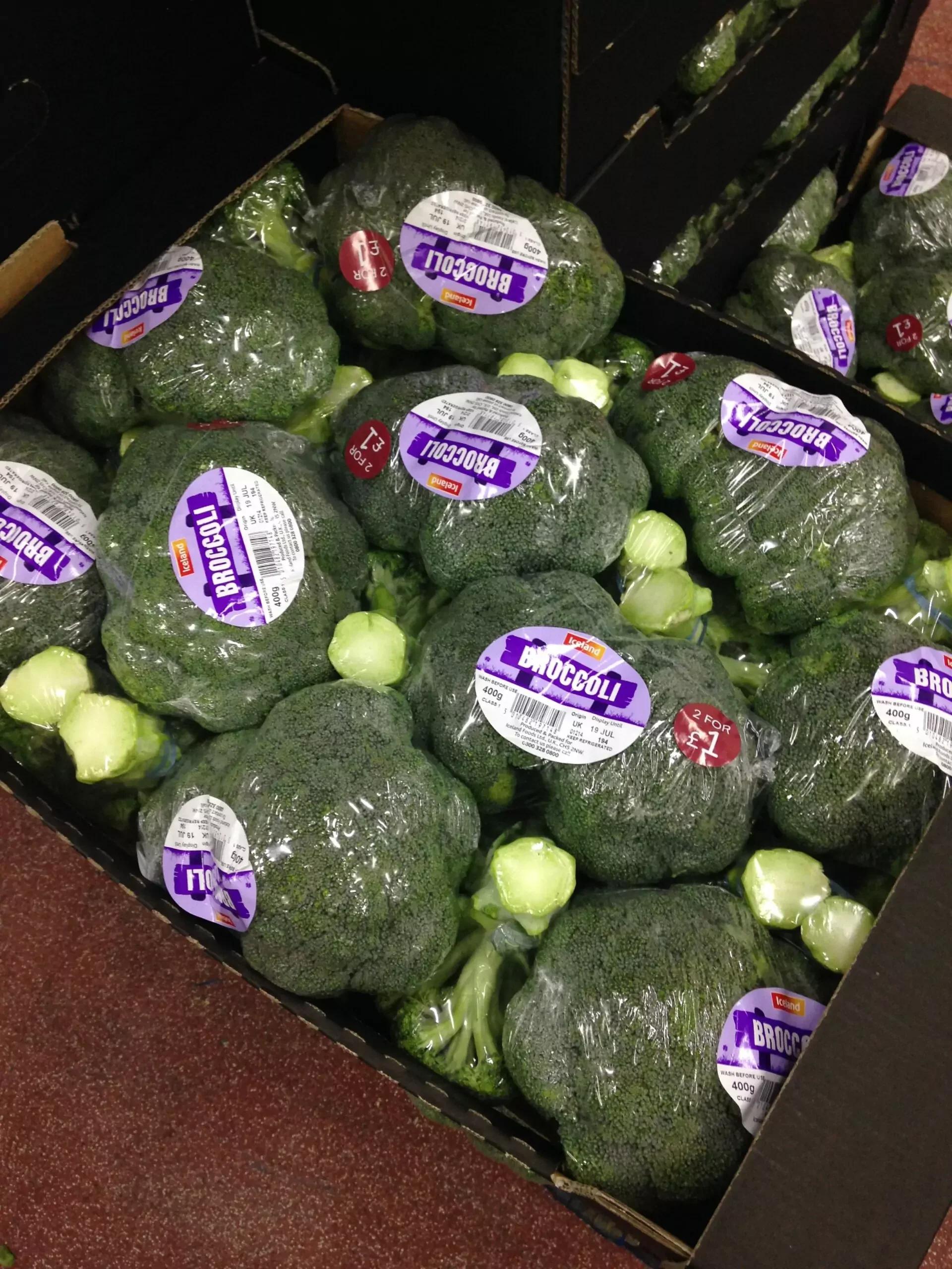 Broccoli Trimming Machine