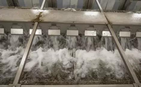 Vegetable Hydrocoolers