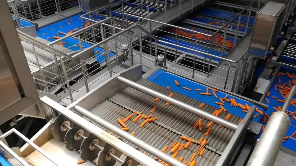 Vibrating Length Sizer