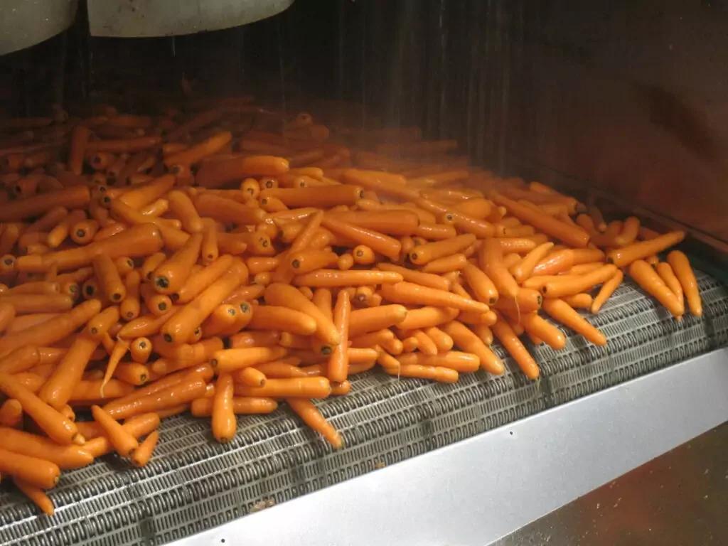 Vegetable Hydrocoolers