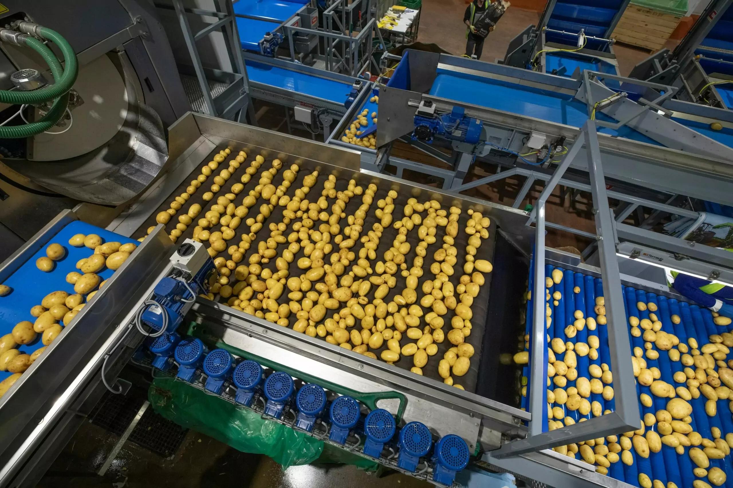 Vegetable Dryers