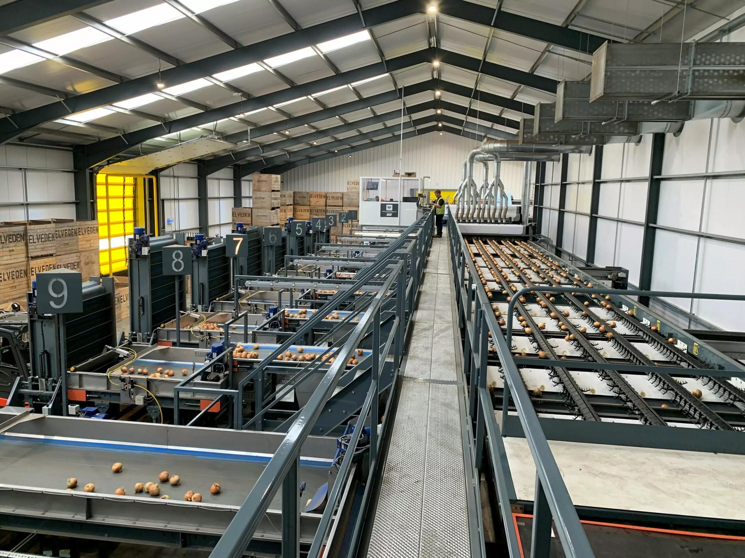 MAF RODA Potato and Onion Optical Sorting