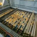 Lift Roller Sizer