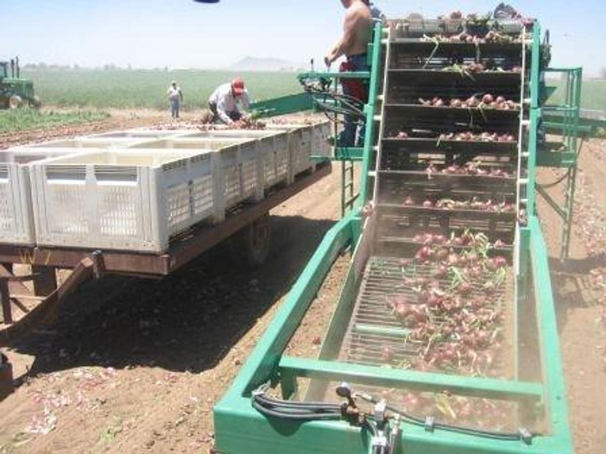 Box Loading Harvester