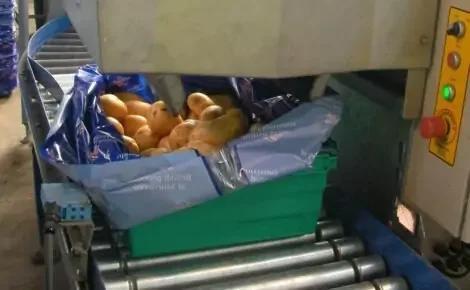 Tank Vegetable Weighers & Baggers