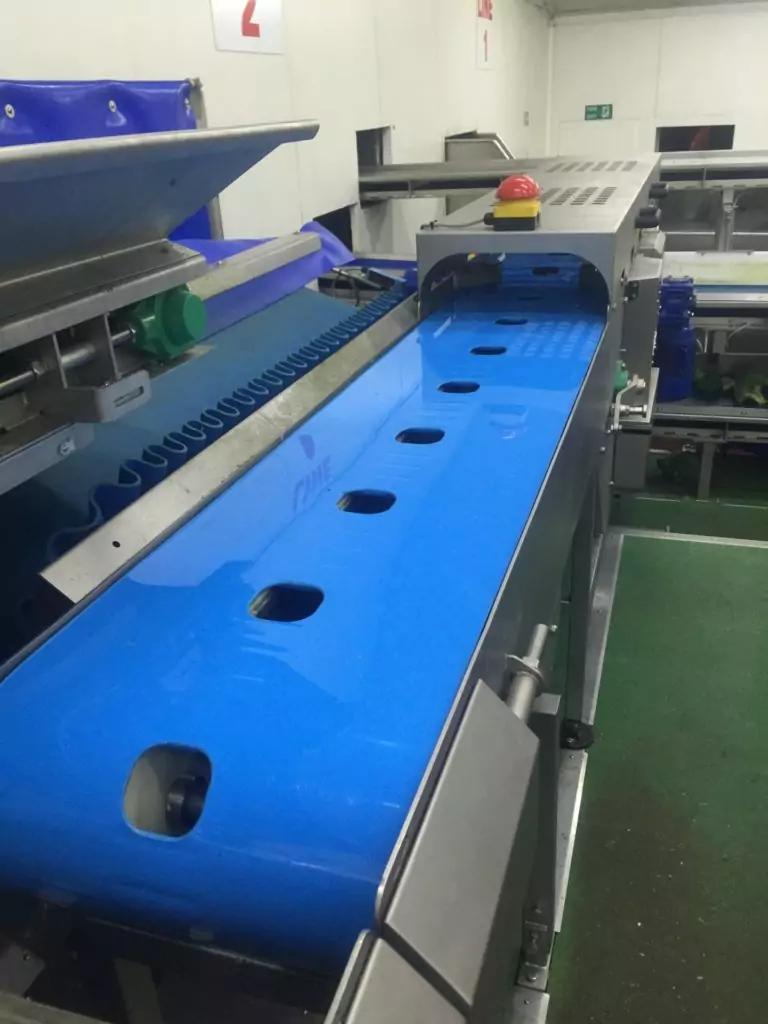 Broccoli Trimming Machine