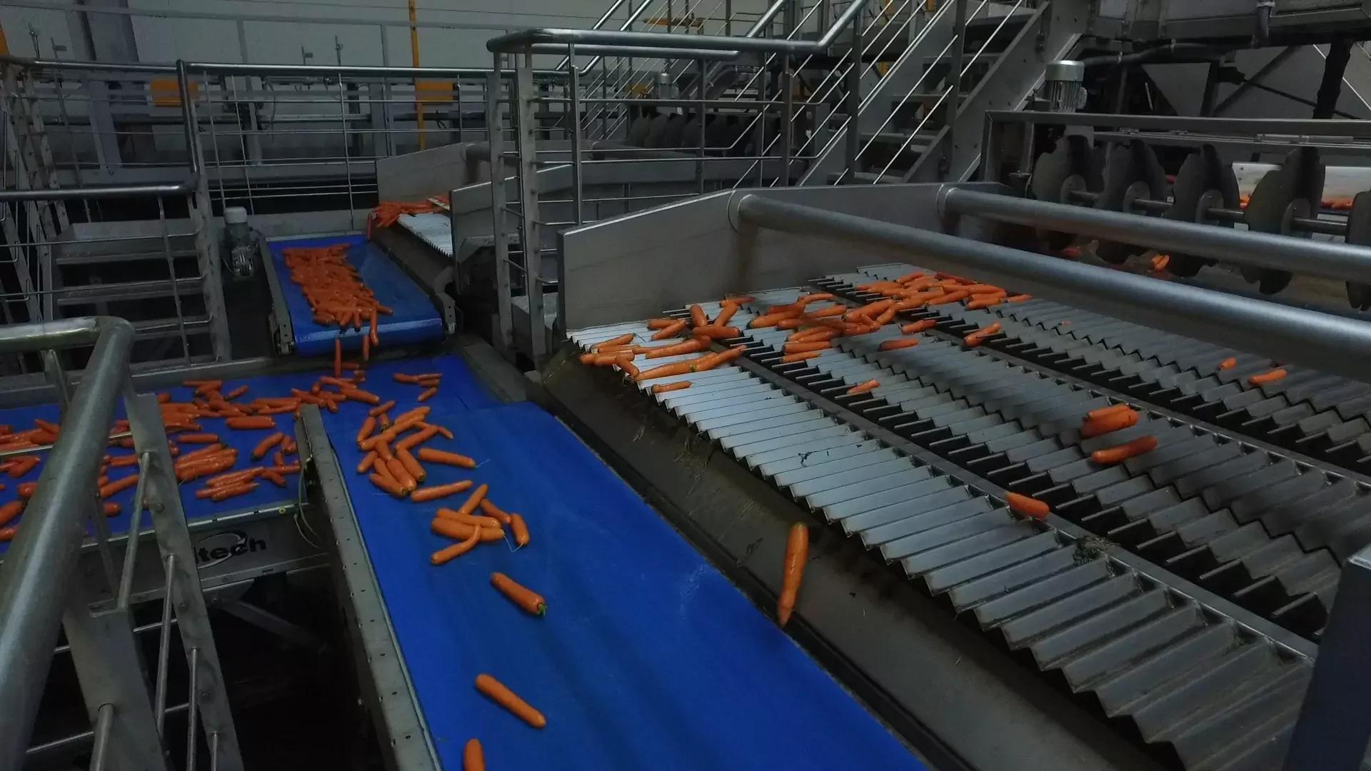 Vibrating Length Sizer