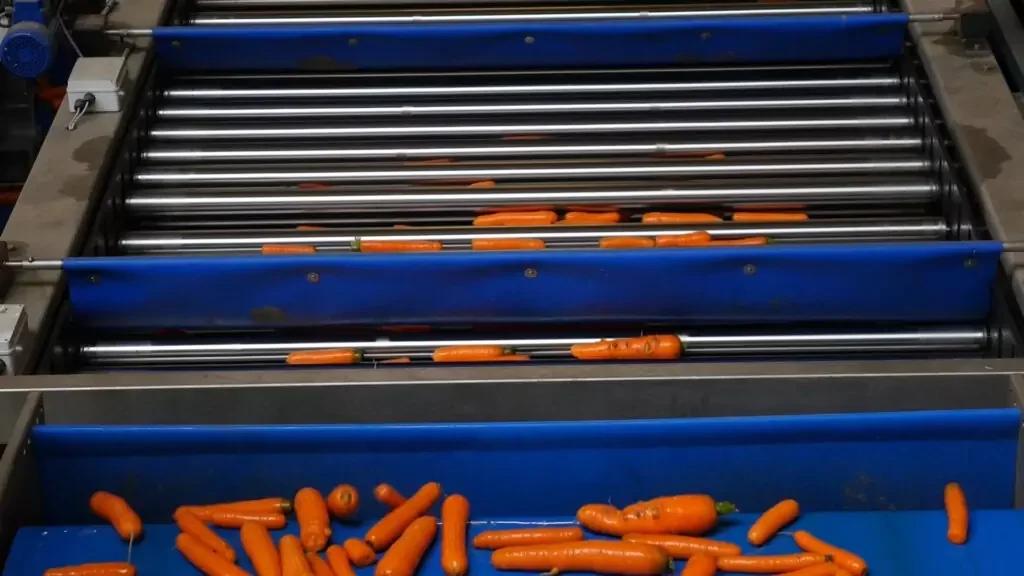 Lift Roller Sizer