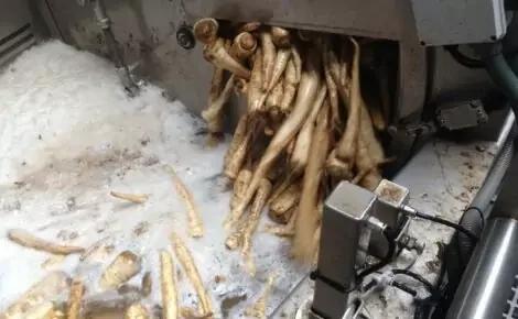 Mobile Vegetable Washer