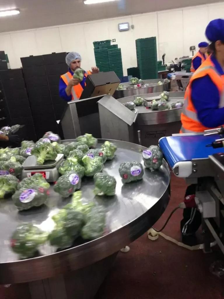 Rotary Packing Tables