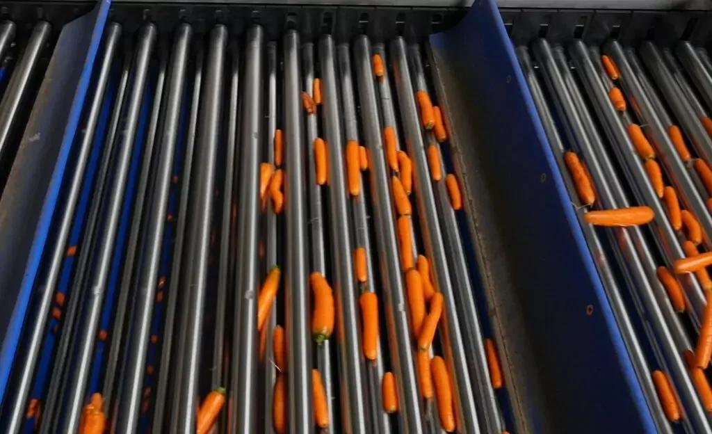 Lift Roller Sizer