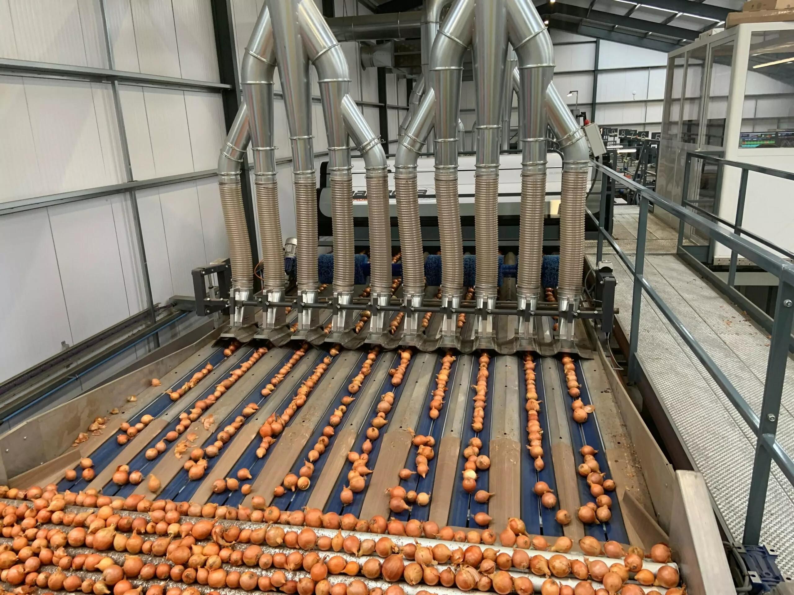 MAF RODA Potato and Onion Optical Sorting