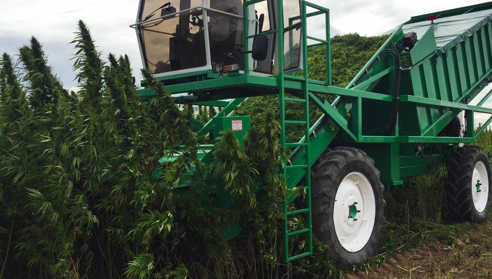 Hemp Equipment