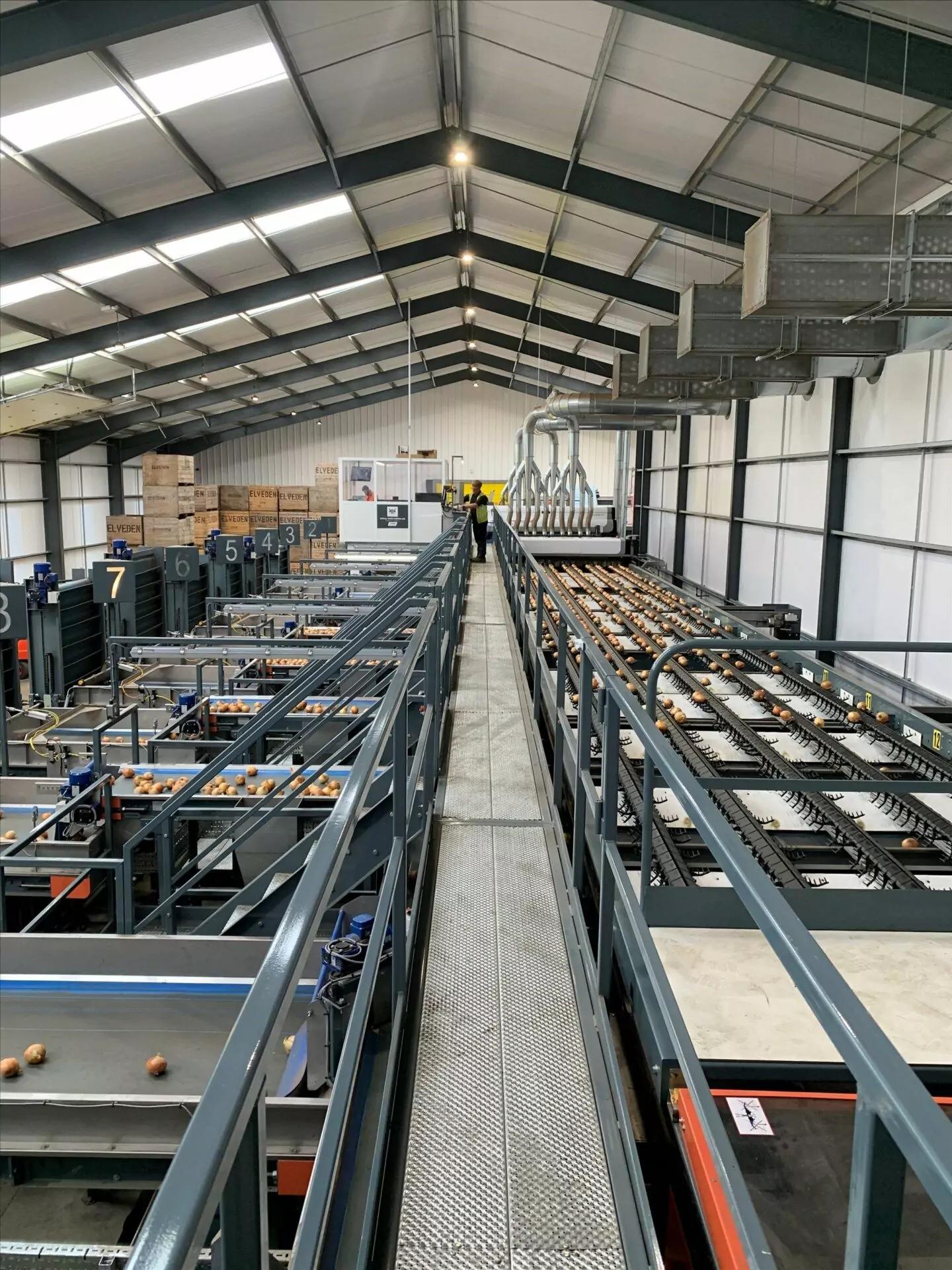 MAF RODA Potato and Onion Optical Sorting