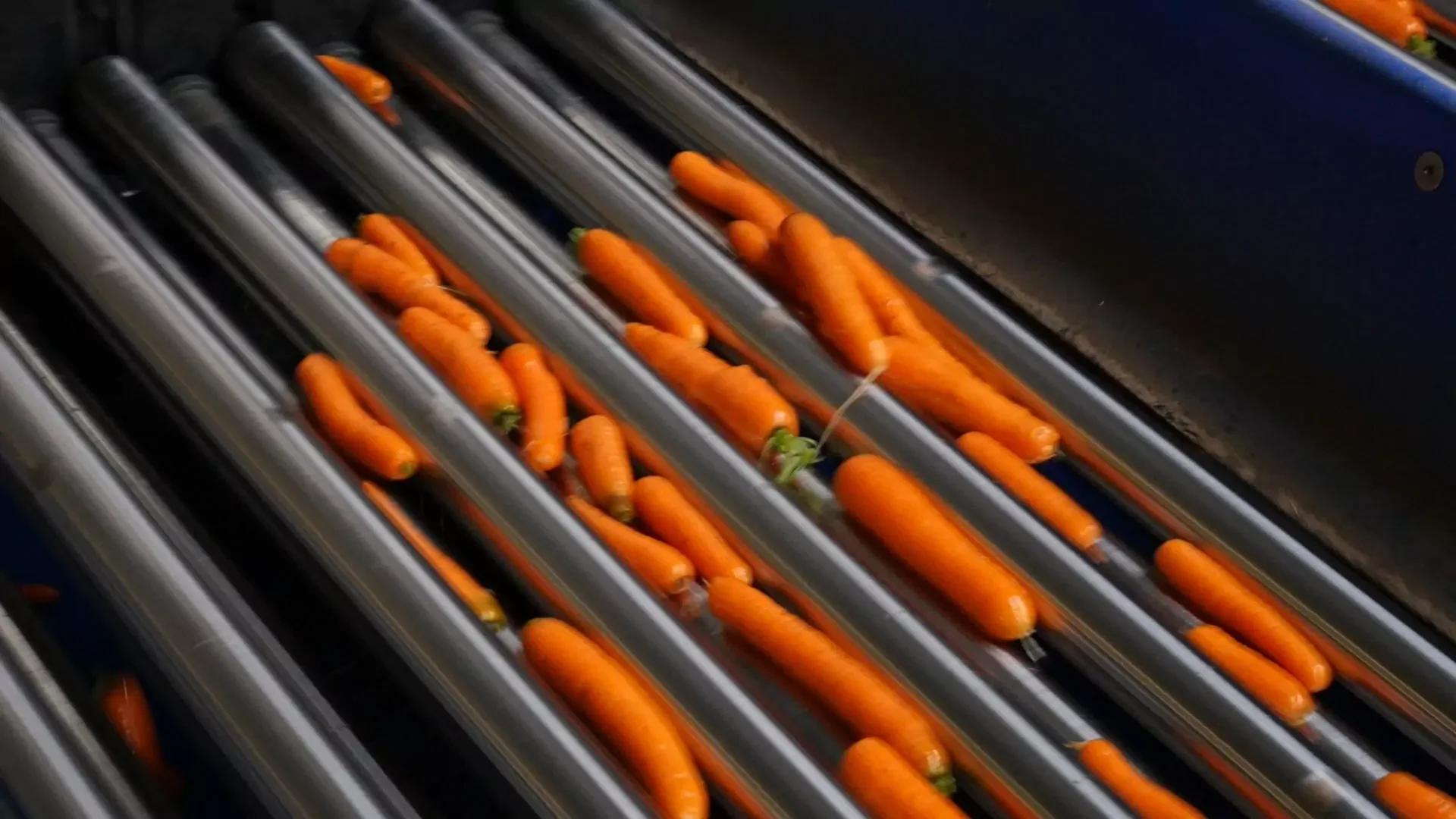 Lift Roller Sizer