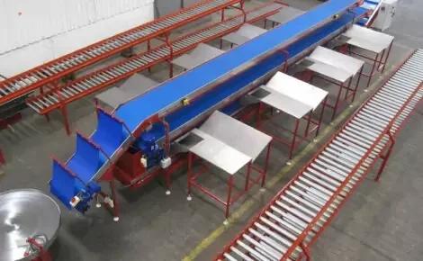 Vegetable Conveyors
