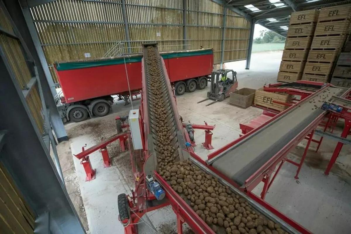 Tong Swift Lift Extendo Mobile Pilers