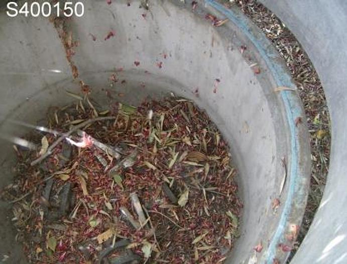 Used Filter, Vac, Nutsche, 36" Dia, S/st, #S400150